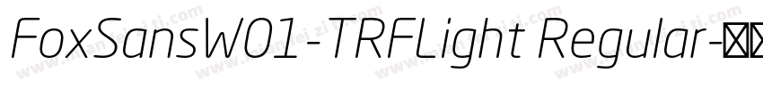 FoxSansW01-TRFLight Regular字体转换